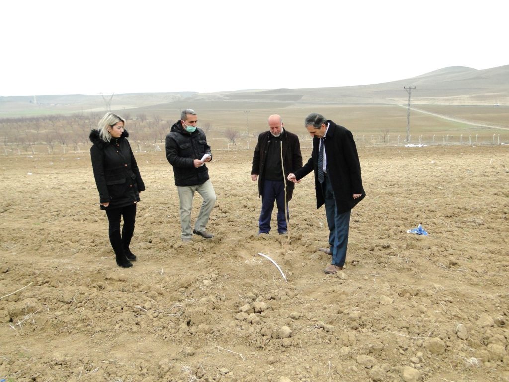 Malatya’da dut üretimi yaygınlaşıyor