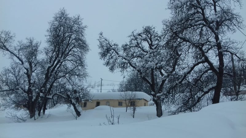 Tunceli’de 151 köy yolunda karla mücadele sürüyor