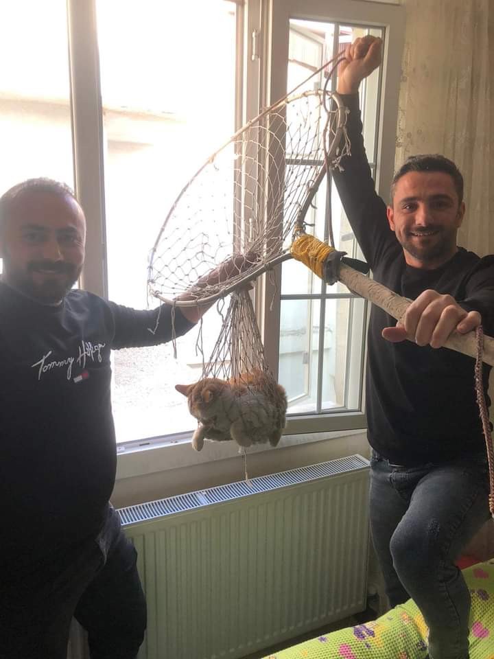 Vatandaşlar 6. Katta mahsur kalan kediyi kurtardı