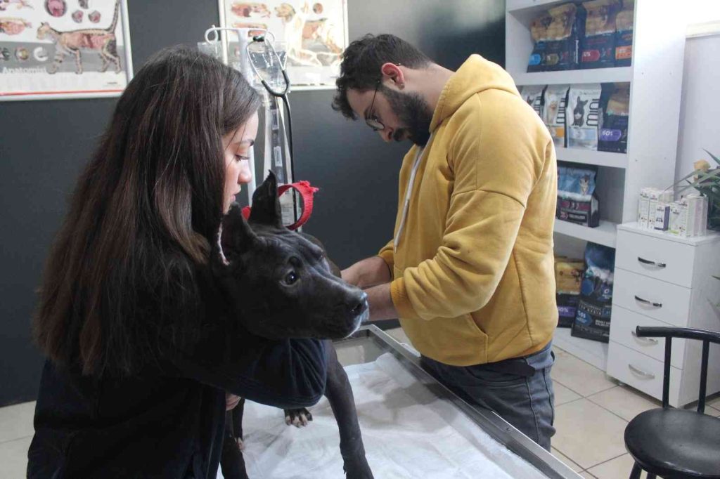 Veteriner kliniklerinde son gün çip yoğunluğu