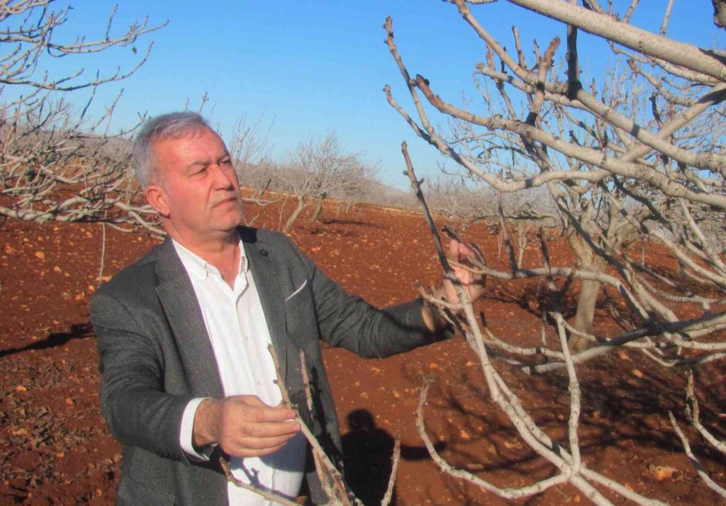 Araban Ovası suya doydu, çiftçilerin yüzü gülüyor