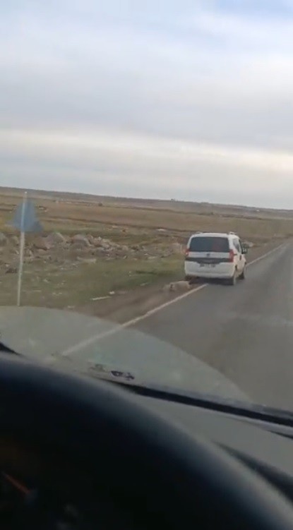 Aracın arkasına bağladıkları koyunu sürükleyerek götürdüler
