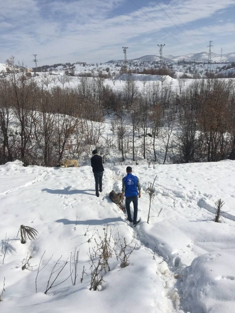 Bingöl’de gönüllüler doğaya yem bıraktı