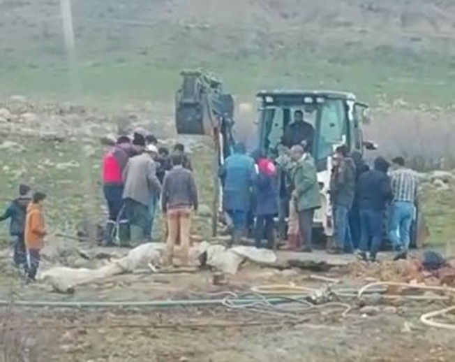 Bingöl’de kuyuya düşen ineği ekipler kurtardı