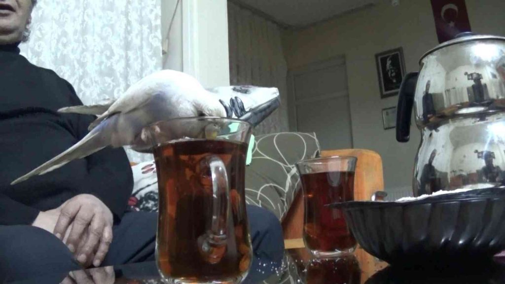 Bu çayın tiryakisi bir başka