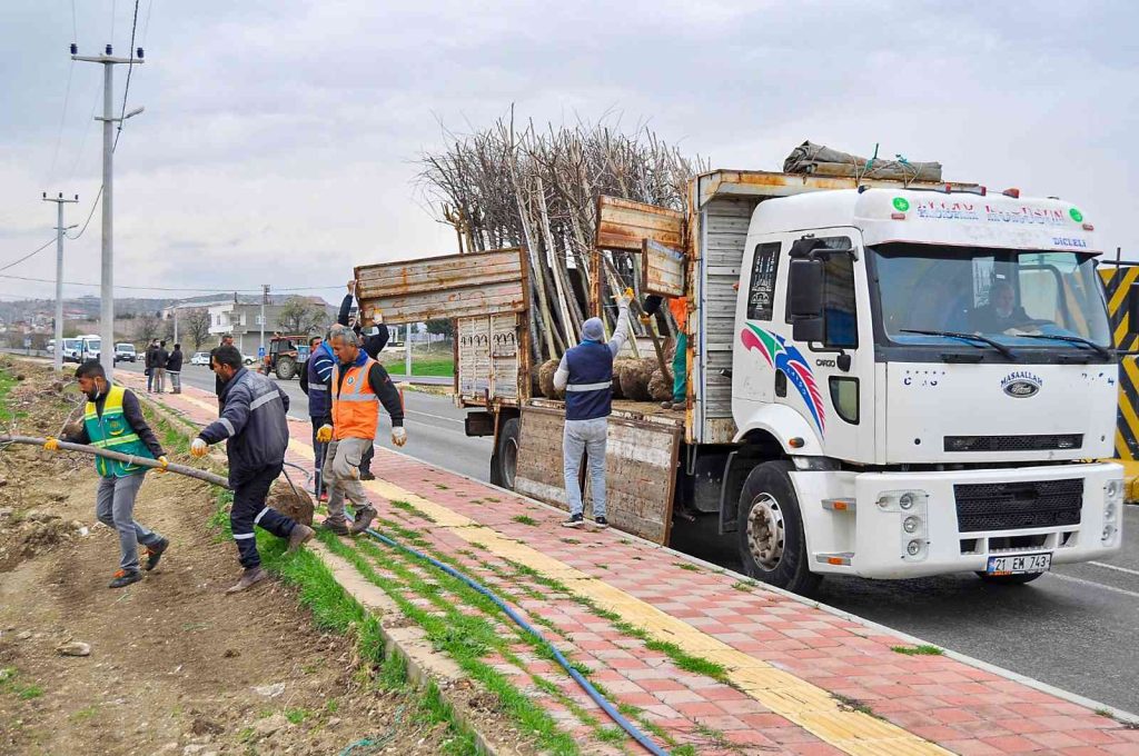 Diyarbakır’da daha yeşil bir alan için 60 bin ağaç dikilecek