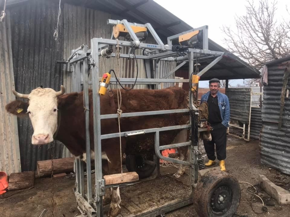 Elazığ’da büyükbaş hayvanlar için ’Seyyar pedikür aracı’