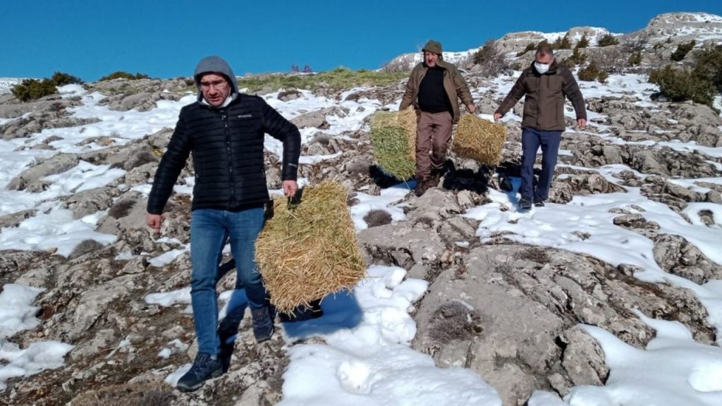 Elazığ’da yaban hayatı için doğaya tonlarca yem bırakıldı