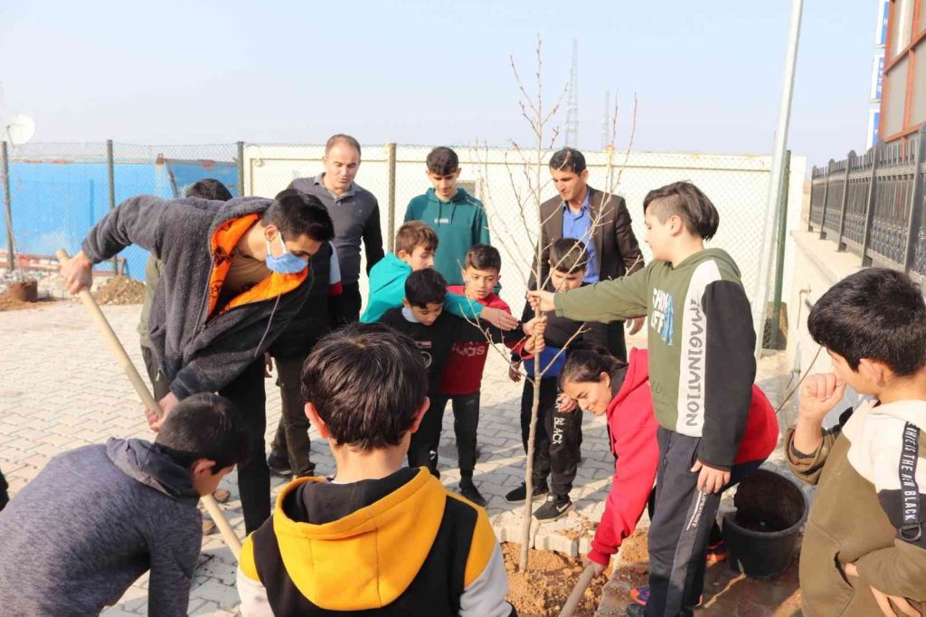 Gençlerden yeşillendirmeye katkı