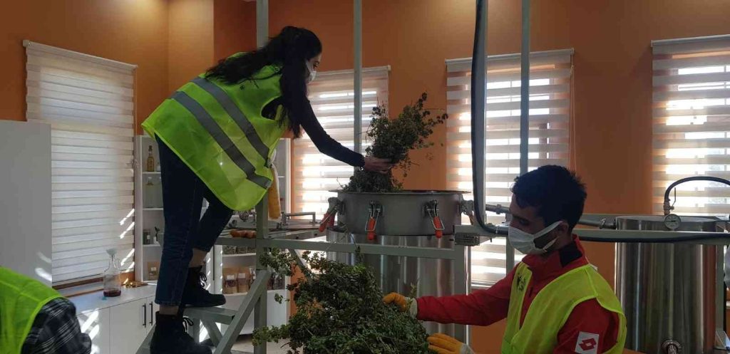 Gençlerin ürettiği bitki çayı ve sebze tohumları, Cumhurbaşkanı Erdoğan’a gönderiliyor