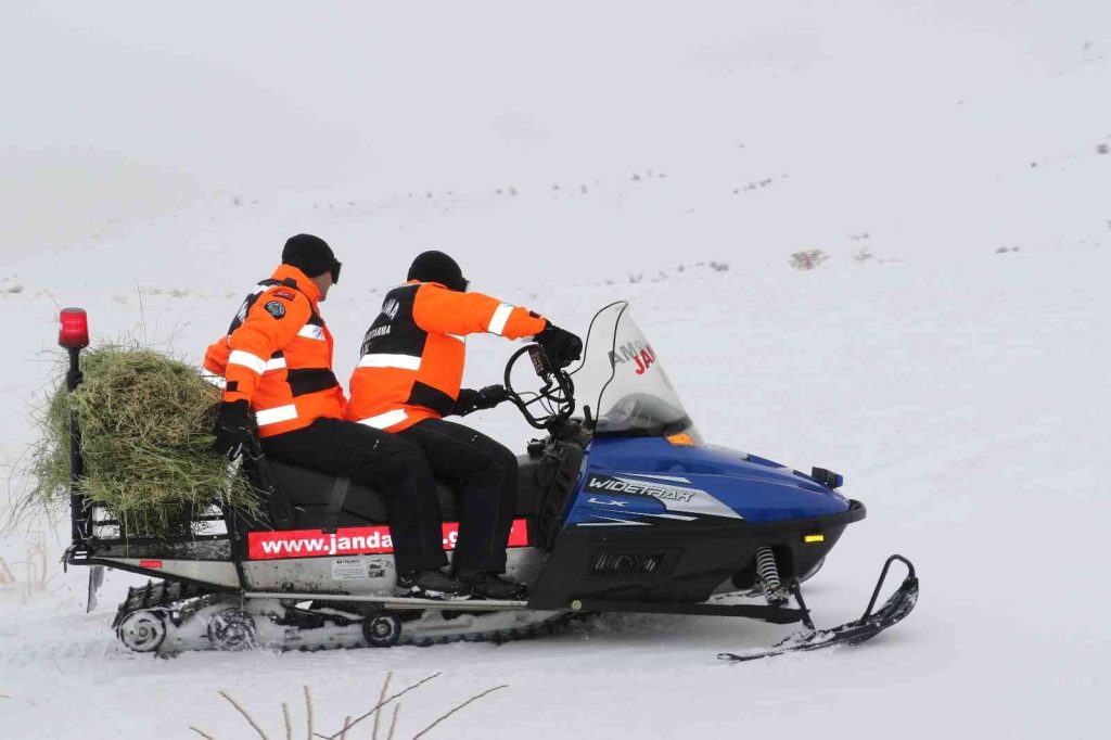 JAK ve HAYDİ ekipleri yaban hayatı için seferber oldu