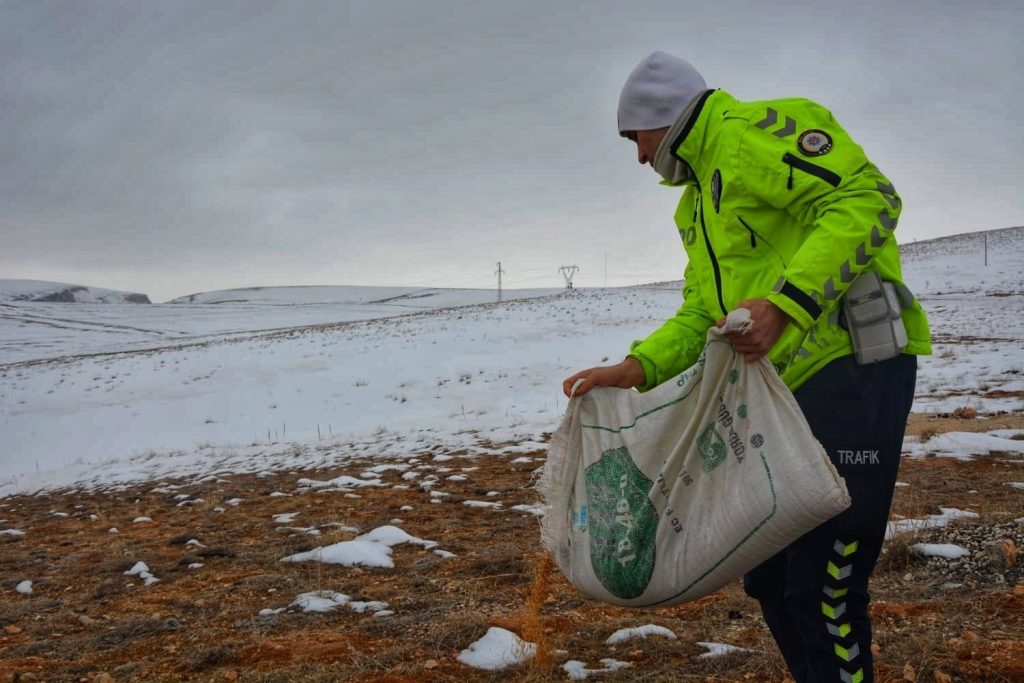 Karda yiyecek bulmakta zorlanan hayvanlara polis şefkati