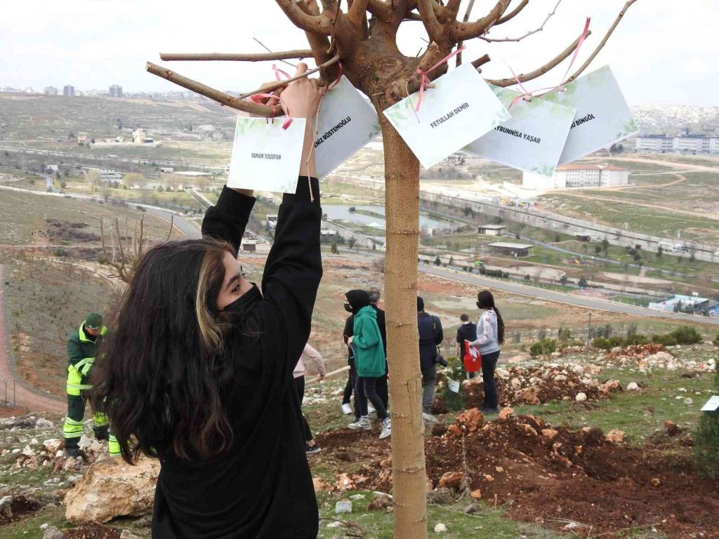 Şahinbey’de 26 bin ağaç dikilecek