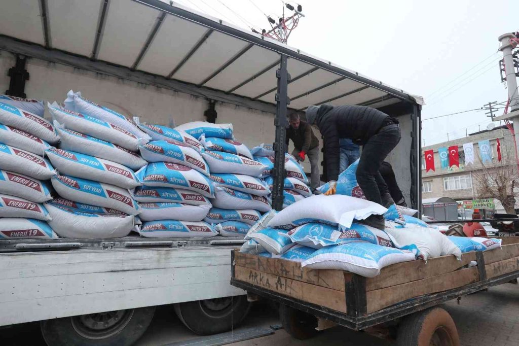 Şahinbey’den hayvan yetiştiricilerine 8 bin ton yem desteği