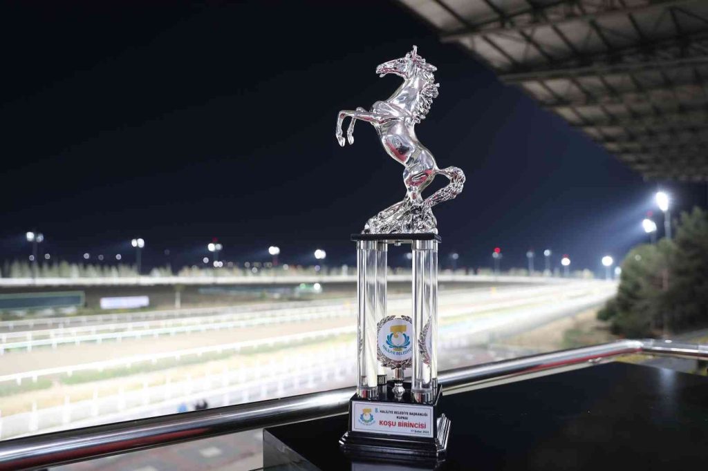 Şanlıurfa’da Haliliye Belediye Başkanlığı Kupa Koşusu tamamlandı