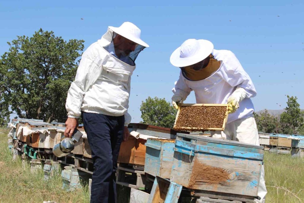 Sert geçen kış ve yaşanan kar yağışı arıcıları sevindirdi, verimli bir sezon bekleniyor