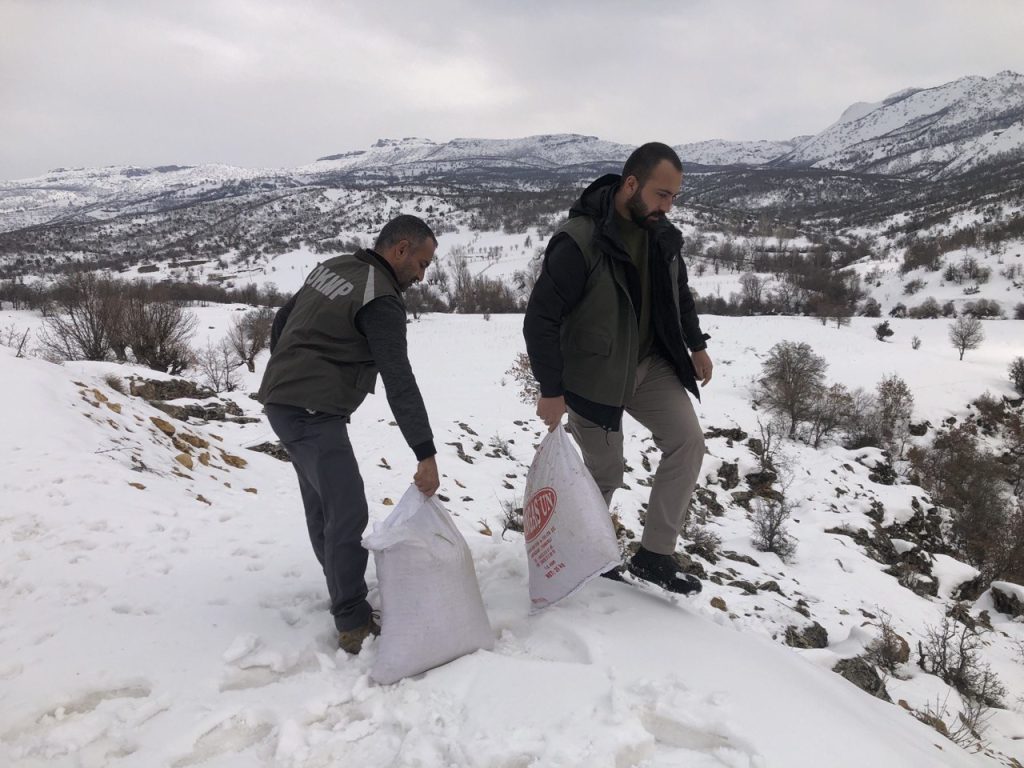 Tunceli’de yemleme ve denetim çalışmaları sürüyor