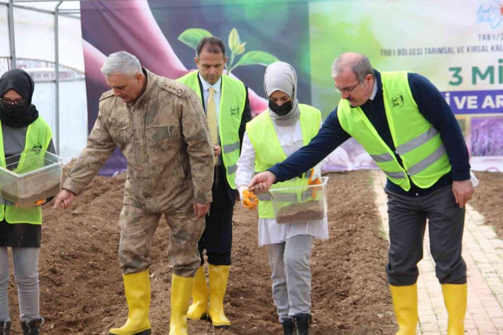 3  milyon aromatik fide tohumu toprakla buluştu