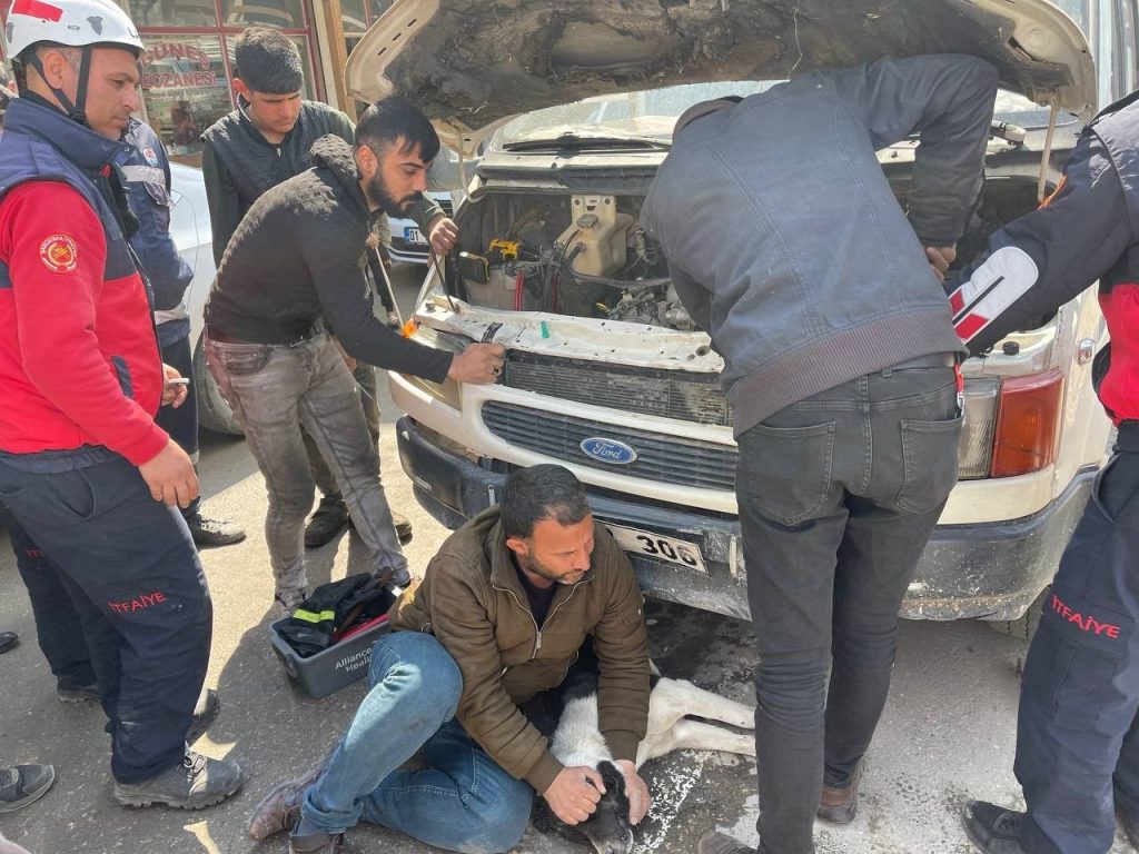 Aracın çarptığı köpeğin ayakları motora sıkıştı