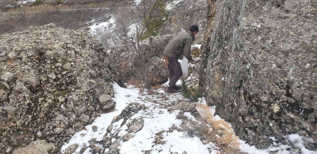 Bingöl’de ekipler 2 ayda doğaya 25 ton yem bıraktı