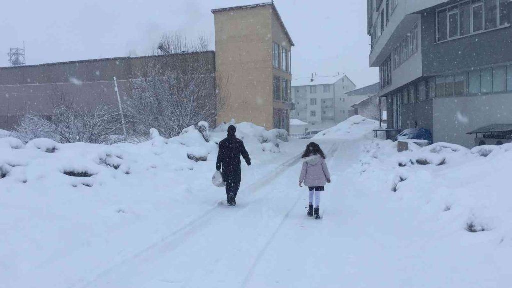 Bingöl’ün 2 ilçesine kar engeli
