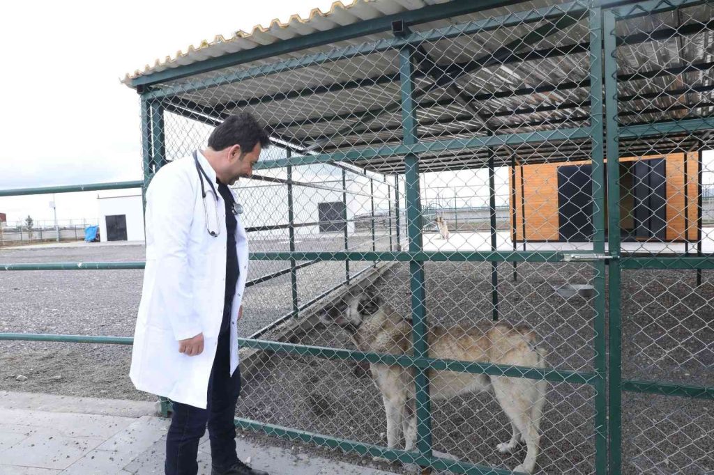 Can dostlara şifa dağıtıyorlar