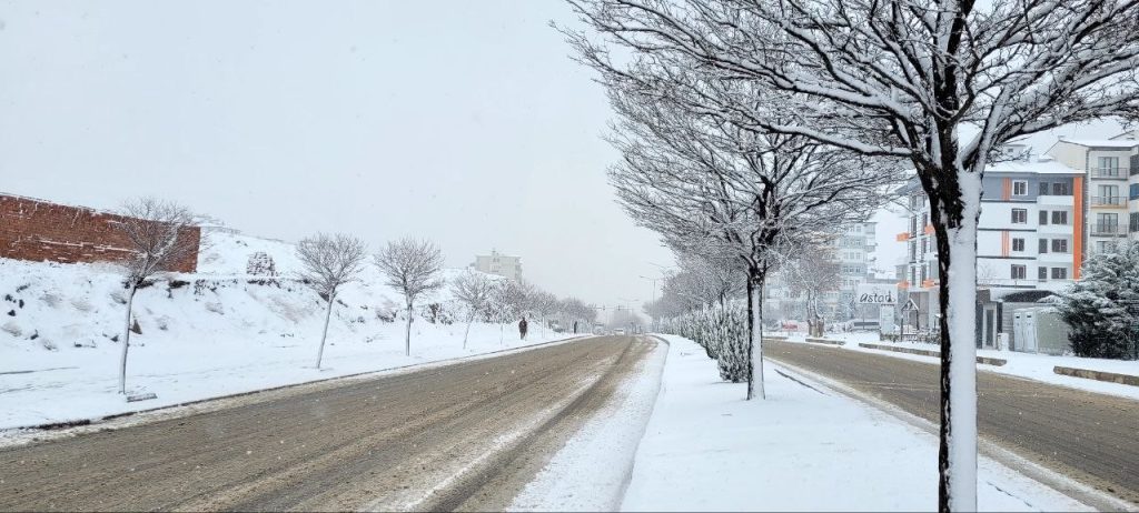 Elazığ’da kar yeniden başladı