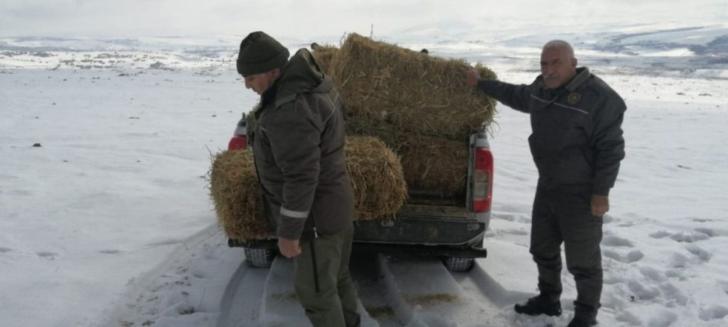 Elazığ’da yaban hayvanları için doğaya yem bırakıldı