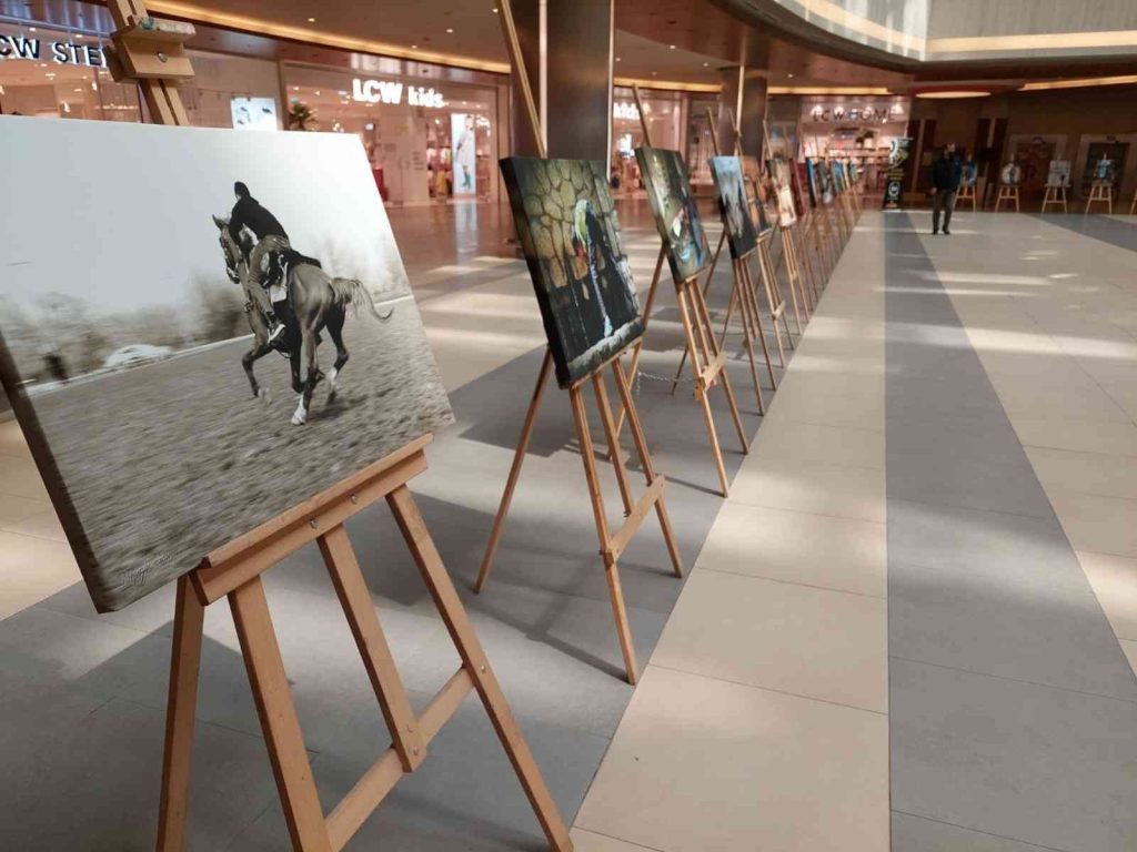 Fotoğraflar sanatseverlerle buluşturuldu