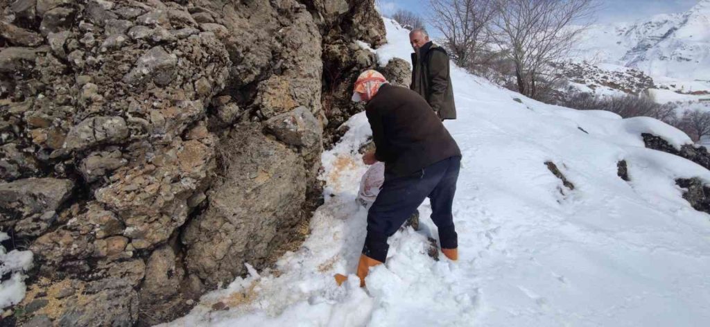 Karlıova kırsalına 550 kilo yem bırakıldı