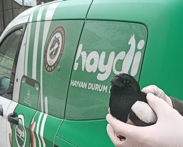 Polisten kargaya şefkat eli