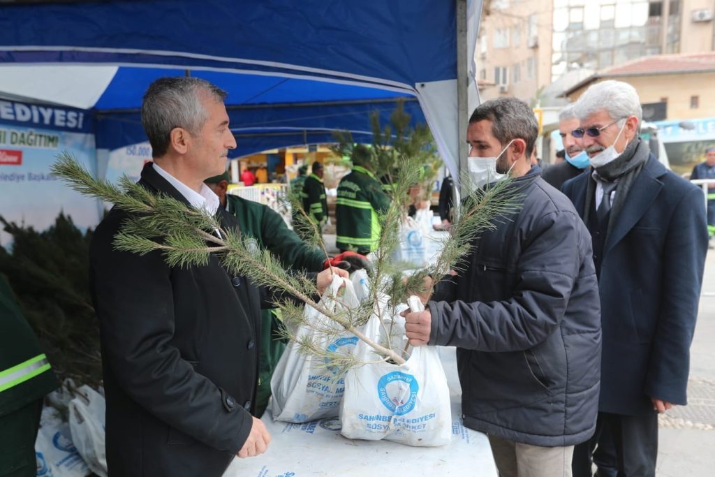 Şahinbey’de 150 bin çam fidanı dağıtıldı