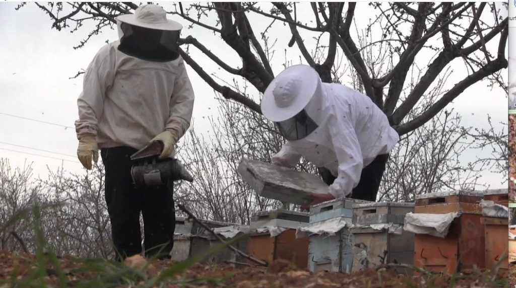 Şanlıurfa bal ve badem üretiminde çıtayı yükseltti