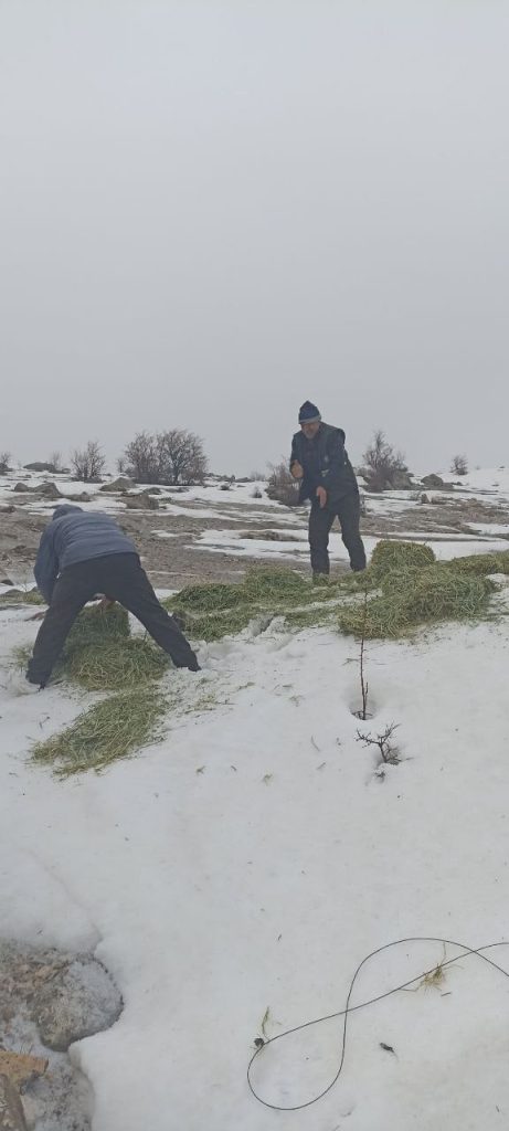 Tunceli’de yaban hayvanları için doğaya yem bırakıldı