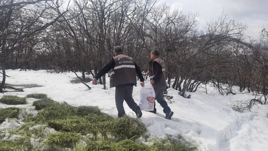 Tunceli’de yaban hayvanları için doğaya yem bırakıldı