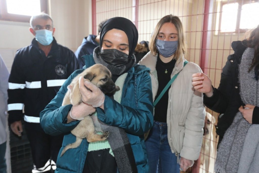 Veteriner Fakültesi öğrencilerinden Elazığ Belediyesi Hayvan Hastanesine tam not