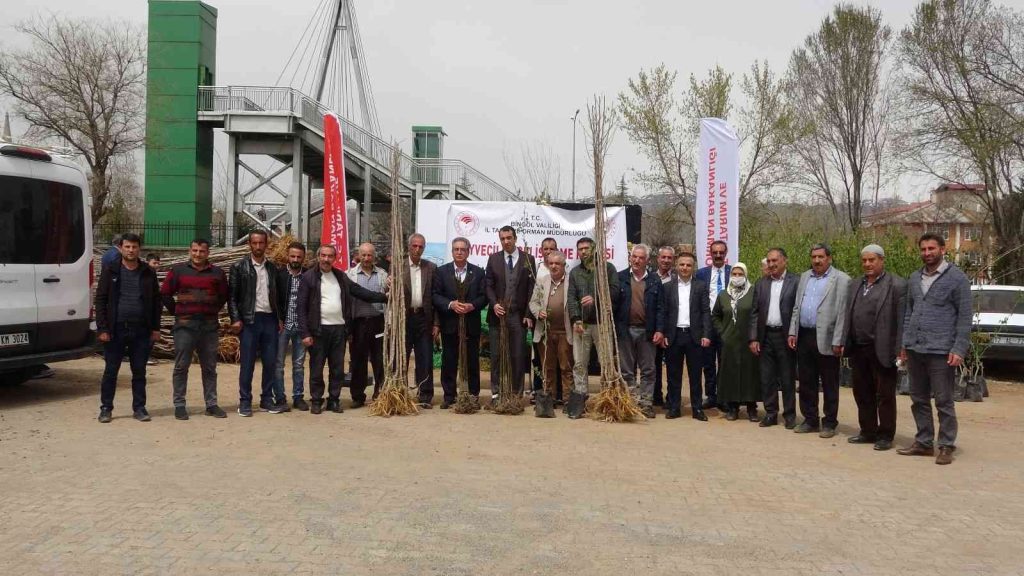 Bingöl’de ilk defa çiftçilere üzümsü meyve fidanı dağıtıldı