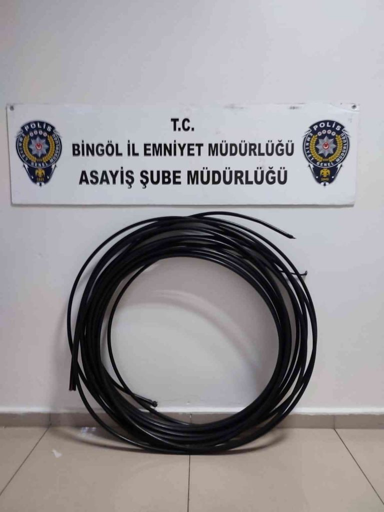 Bingöl’de kablo çalan şahıs tutuklandı