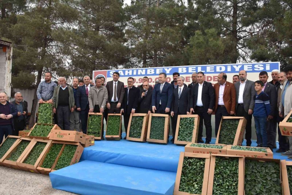 Çiftçilere milyonlarca fide dağıtıldı
