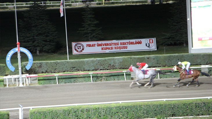 Elazığ’da at yarışlarına sayılı günler kaldı