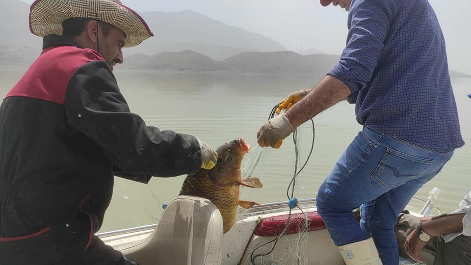 Elazığ’da kaçak avcılara operasyon