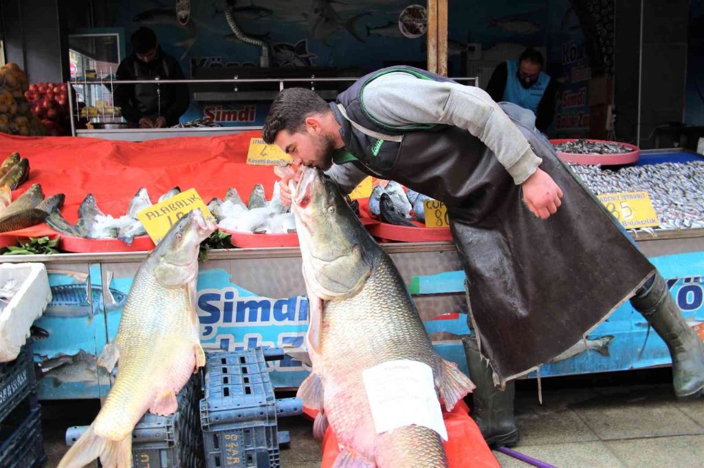 Elazığ’da sezonun son dev turna balığı yakalandı: Tam 103 kilogram