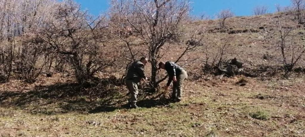 Elazığ’da yaban hayatı ve kaçak avcılar, fotokapanlarla tespit ediliyor
