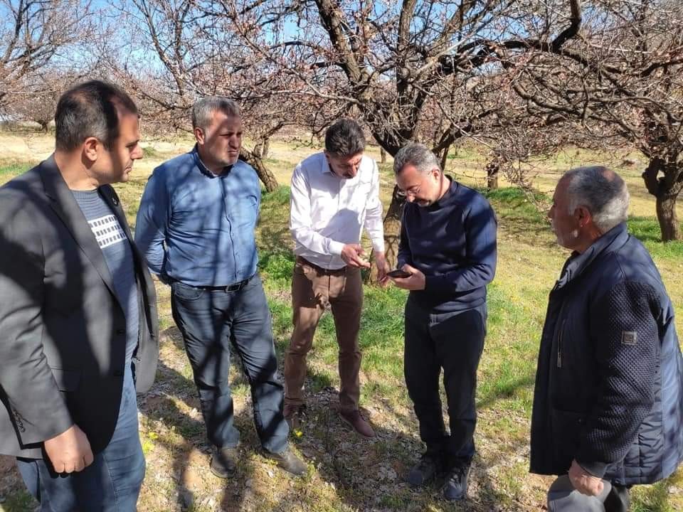 Elazığ’da zirai don nedeniyle hasar tespit çalışmaları başladı