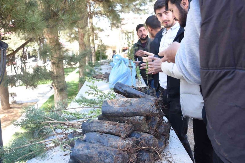 Genç’te vatandaşlara fidan dağıtıldı