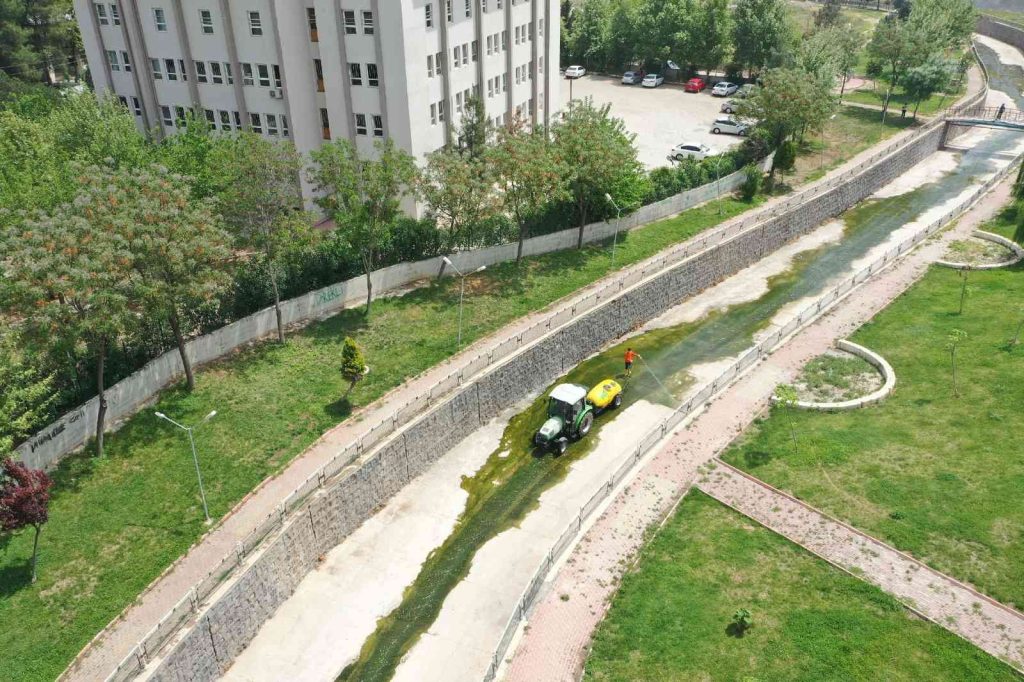 Şanlıurfa’da ilaçlama seferberliği