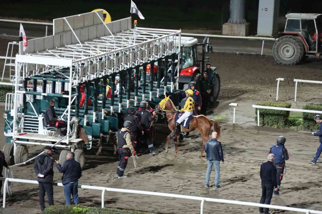 Urfa’nın düşman işgalinden Kurtuluş’u etkinlikleri başladı