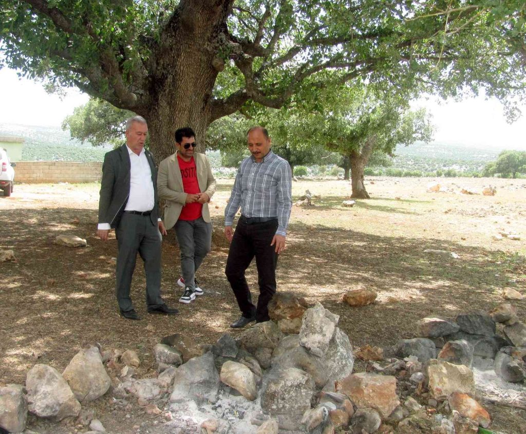 Araban’da ’’asırlık ağaç’’ seferberliği