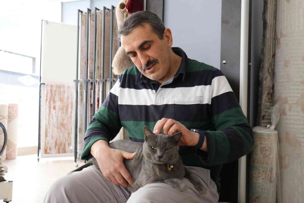 Beslemek için aldığı kedi can dostu oldu