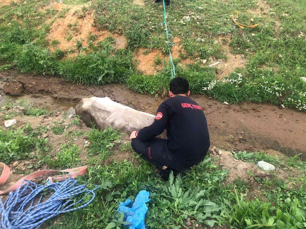 Bingöl’de çamura saplanan inek kurtarıldı